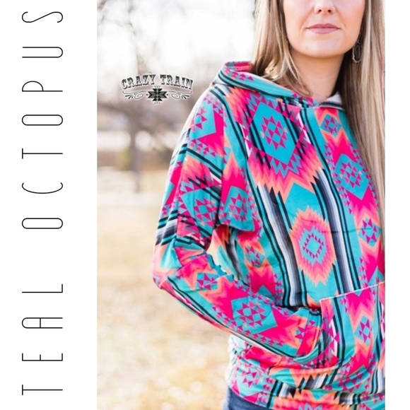 CRAZY TRAIN HOODIE VELVET LIGHT AZTEC WESTERN PINK - Picture 6 of 8